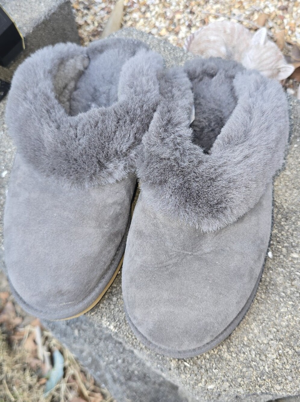 Overland Suede Slippers, Loafers